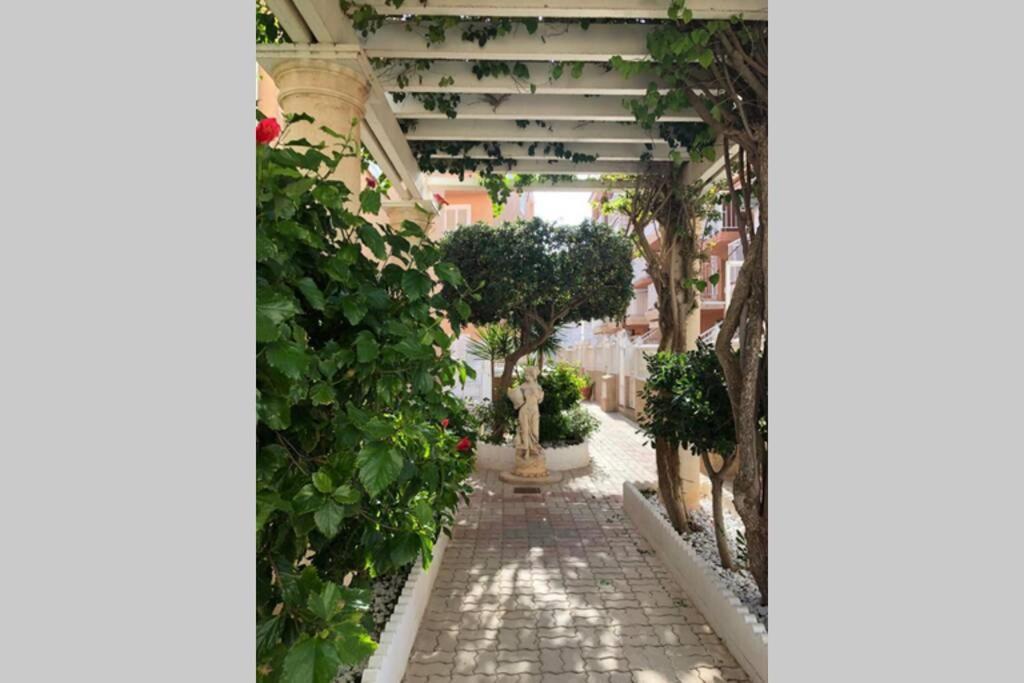 Beach Dream Apartment La Mata  Exterior photo